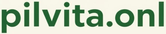 Pilvita